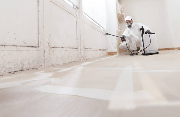 24/7 Emergency Basement Mold Remediation experts in Greenville, PA